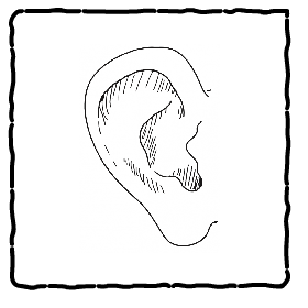 button