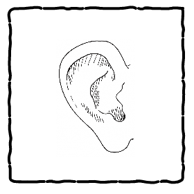 button