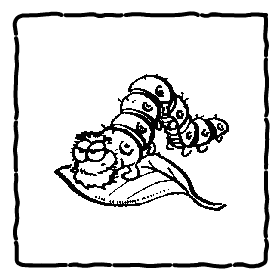 button