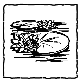 button